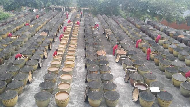 年匠心酿岁月 薪火相传谱新篇冰球突破豪华版江津酿造：百(图2)