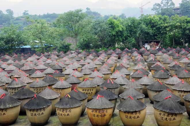 年匠心酿岁月 薪火相传谱新篇冰球突破豪华版江津酿造：百(图6)