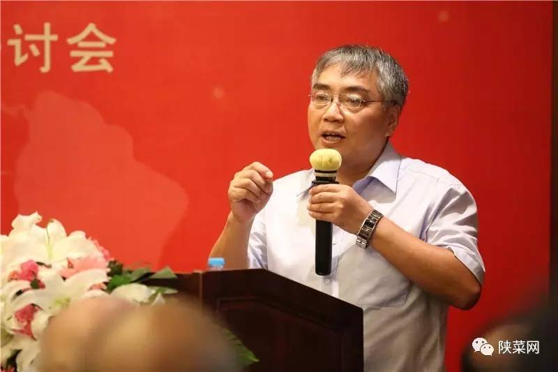 年纪念暨第七届文化研讨会在唐博圆满举行冰球突破陕菜资讯 陕菜品牌创新工程十(图17)