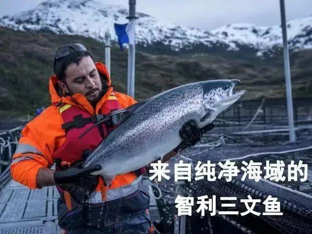 、血脂很友好！2分钟出锅软嫩喷香吃不够冰球突破这个“深海大肥猪”其实对大脑(图19)