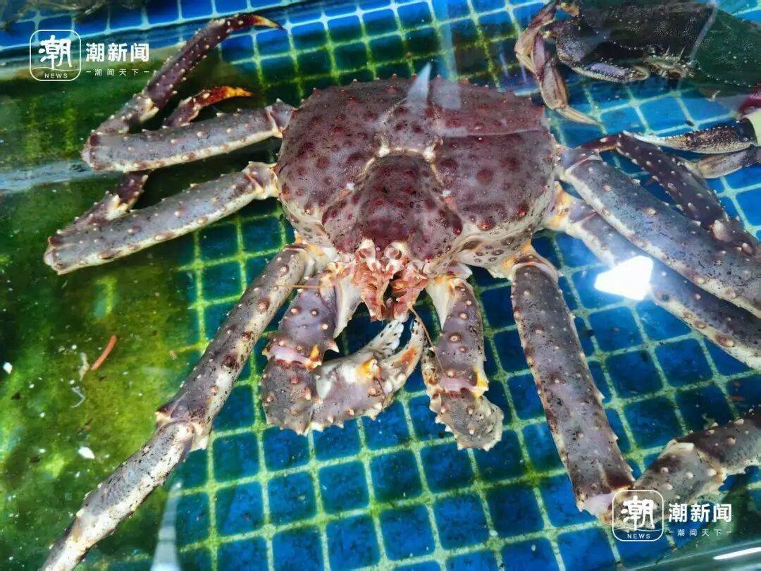 0元！面子里子都顾到了！老板：肉嫩鲜甜烹