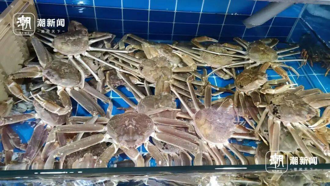 0元！面子里子都顾到了！老板：肉嫩鲜甜烹饪简单冰球突破豪华版萧山人办过年饭用它一桌能省30(图2)